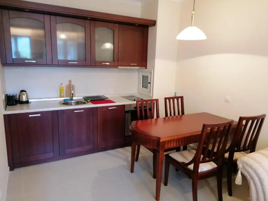 Downtown Luxury Private Apartments Bansko