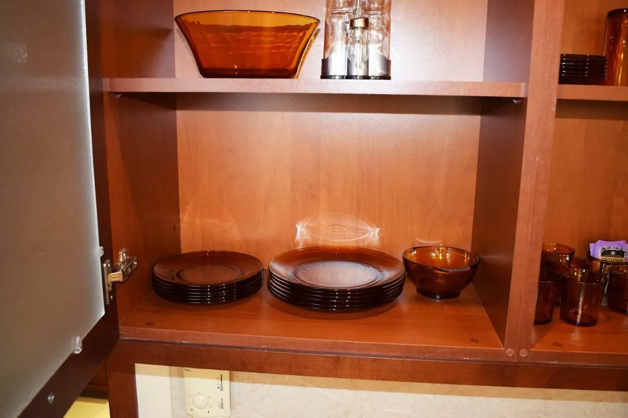 Downtown Luxury Private Apartments Bansko 0*,